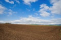 agriculture, plowed field, ready to grow with summer plants, cotton, corn