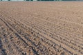 Agriculture plowed field in spring