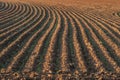 Plowed field with furrows and patterns