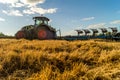 Agriculture plowing tractor on wheat cereal fields