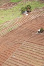 Agriculture is preparing the soil for planting Royalty Free Stock Photo
