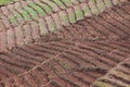 Agriculture is preparing the soil for planting Royalty Free Stock Photo