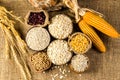 agriculture products,grains and cereal Royalty Free Stock Photo