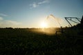 This is agriculture requires artificial irrigation Royalty Free Stock Photo