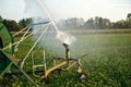 This is agriculture requires artificial irrigation Royalty Free Stock Photo