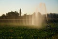 This is agriculture requires artificial irrigation Royalty Free Stock Photo