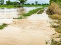 Agriculture Rice field flooded damage