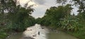 Agriculture river afternoon green village fishing water