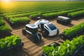 Agriculture robotic and autonomous