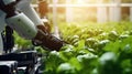 Agriculture robotic working in smart farm, Future technology with smart agriculture farming concept