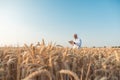 Agriculture scientist doing research in grain test field tracking data Royalty Free Stock Photo