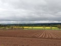 Agriculture in Scotland - freshly plowed field and rapeseed field in background - spring in Scotland