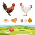 Agriculture Set. Realistic Rooster, Hen, Farm Landscape, Eggs. Vector Illustration. Farm.