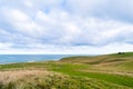 Agriculture sheeps, grassland and sea with cloudy scene. Slope point, catlins, New Zealand I Royalty Free Stock Photo