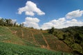 The mountain agricultural and blue sky.