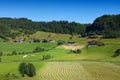 Agriculture in Sunnfjord, Norway Royalty Free Stock Photo