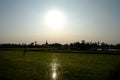 Agriculture sunset rice fields view to pagoda in Inwa, Amarapura, Myanmar