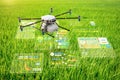 Agriculture technology concept with drone fly above with graphic display Royalty Free Stock Photo