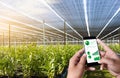 agriculture technology concept man Agronomist Using a Tablet in