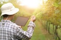 Agriculture technology farmer man using tablet computer analysis data. Royalty Free Stock Photo