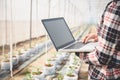 Agriculture technology farmer man using tablet computer analysis data. The agronomist examining the growth of plants on the Royalty Free Stock Photo