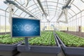 Agriculture technology with robot assistant in indoor farm or glasshouse