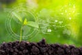 Agriculture Technology Seedlings are green, brown soil. Royalty Free Stock Photo