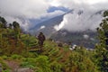 Agriculture terra es green rice field mountain landscape in Nepal. Village Landruk