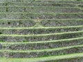 Agriculture terraces of Machu Picchu. Peru