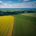 The agriculture theme is reflected in the green rapeseed cultivation aerial land...