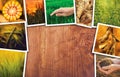 Agriculture themed collage photos with copy space