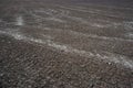 Agriculture. Tractor cultivated land. A field with traces of wheeled vehicles in early spring for sowing cereals Royalty Free Stock Photo