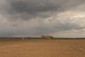 Agriculture.The tractor prepares the field for sowing wheat in Royalty Free Stock Photo