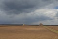 Agriculture.The tractor prepares the field for sowing wheat in Royalty Free Stock Photo