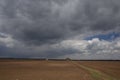 Agriculture.The tractor prepares the field for sowing wheat in