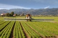 Agriculture, tractor spraying pesticides on field farm Royalty Free Stock Photo