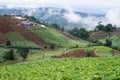 agriculture view landscape beautiful cloud background