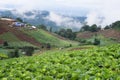 agriculture view landscape