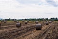 Straw rolls on a field