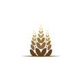 Agriculture Wheat Icon, logo Ideas. Inspiration logo design. Template Vector Illustration. Isolated On White Background Royalty Free Stock Photo