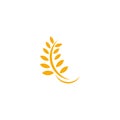 Agriculture wheat leaf icon logo design vector template Royalty Free Stock Photo