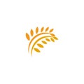 Agriculture wheat leaf icon logo design vector template Royalty Free Stock Photo