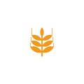 Agriculture wheat leaf icon logo design vector template Royalty Free Stock Photo