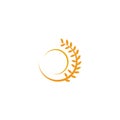 Agriculture wheat leaf icon logo design vector template Royalty Free Stock Photo