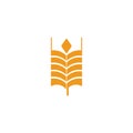 Agriculture wheat leaf icon logo design vector template Royalty Free Stock Photo