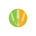 Agriculture Wheat logo template vector icon design Royalty Free Stock Photo