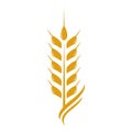 Agriculture wheat Logo Template vector icon