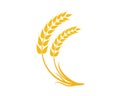 Agriculture wheat Logo Template vector icon Royalty Free Stock Photo
