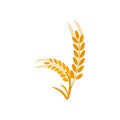 Agriculture wheat Logo Template vector icon design