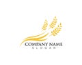 Agriculture wheat Logo Template vector icon design Royalty Free Stock Photo